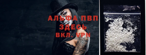 ECSTASY Белокуриха