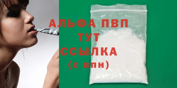 ECSTASY Белокуриха