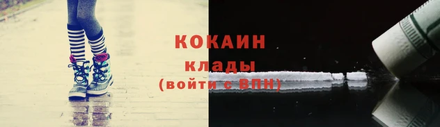 ПСИЛОЦИБИНОВЫЕ ГРИБЫ Белоозёрский