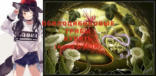 ПСИЛОЦИБИНОВЫЕ ГРИБЫ Белоозёрский