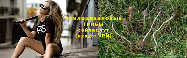 ПСИЛОЦИБИНОВЫЕ ГРИБЫ Белоозёрский