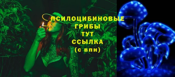 ECSTASY Белокуриха