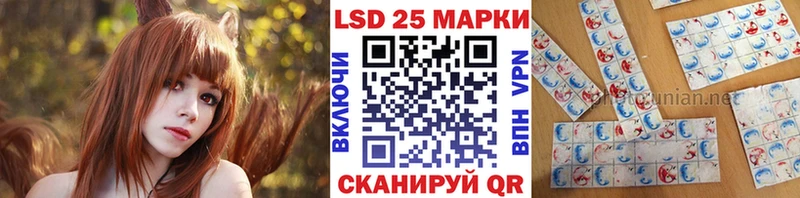 kraken   Городище  Марки N-bome 1,8мг 